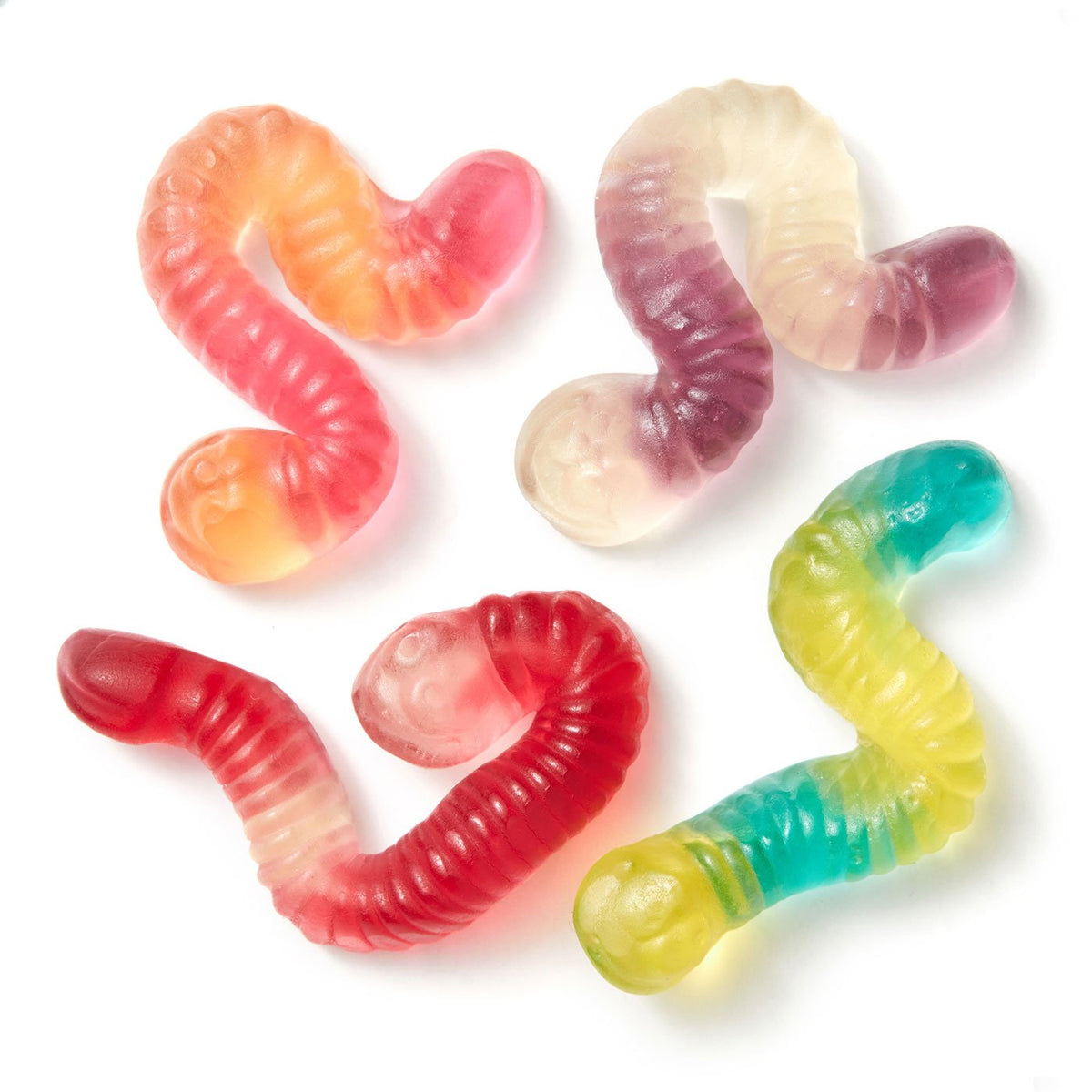 Glow Worms